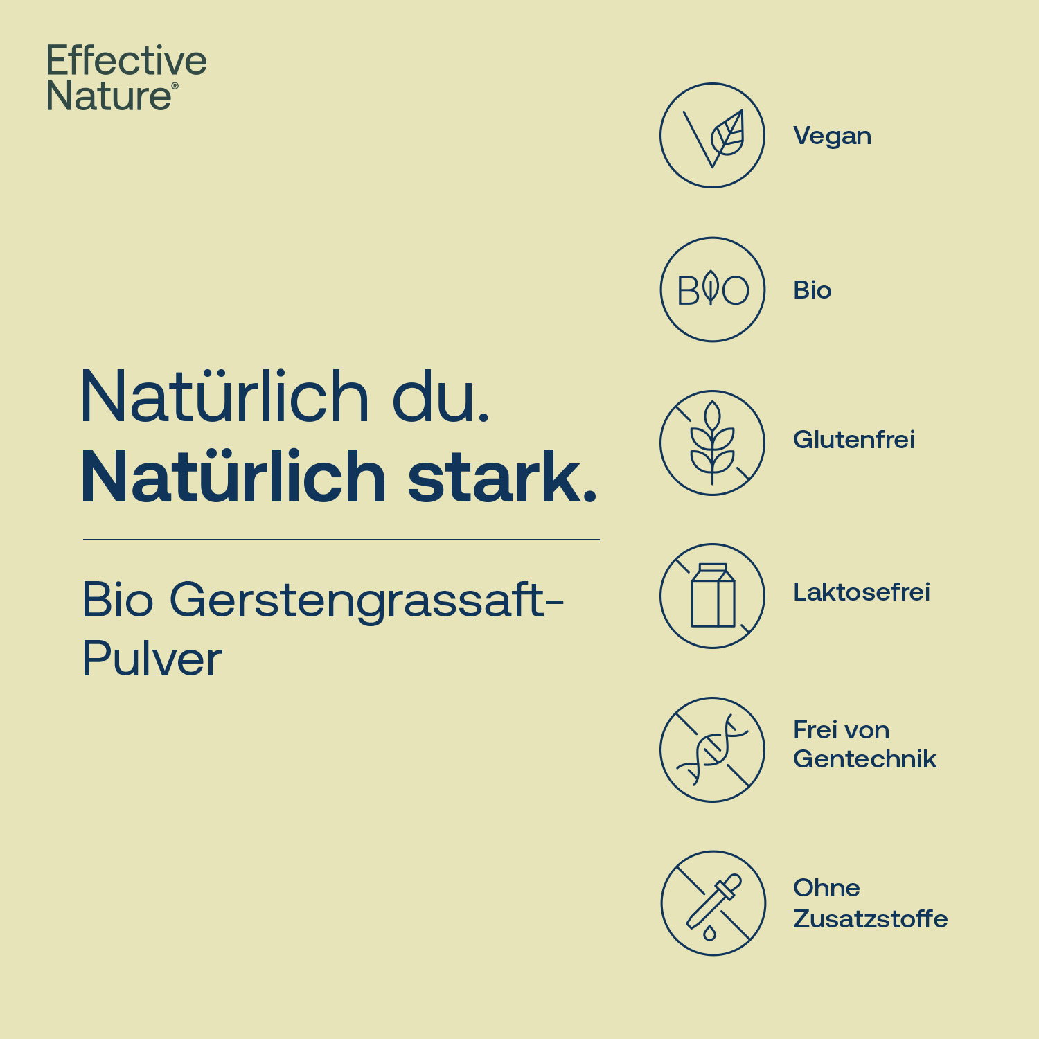 Bio Gerstengrassaft-Pulver mit Icons zu vegan, bio, glutenfrei, laktosefrei, ohne Gentechnik und ohne Zusatzstoffe