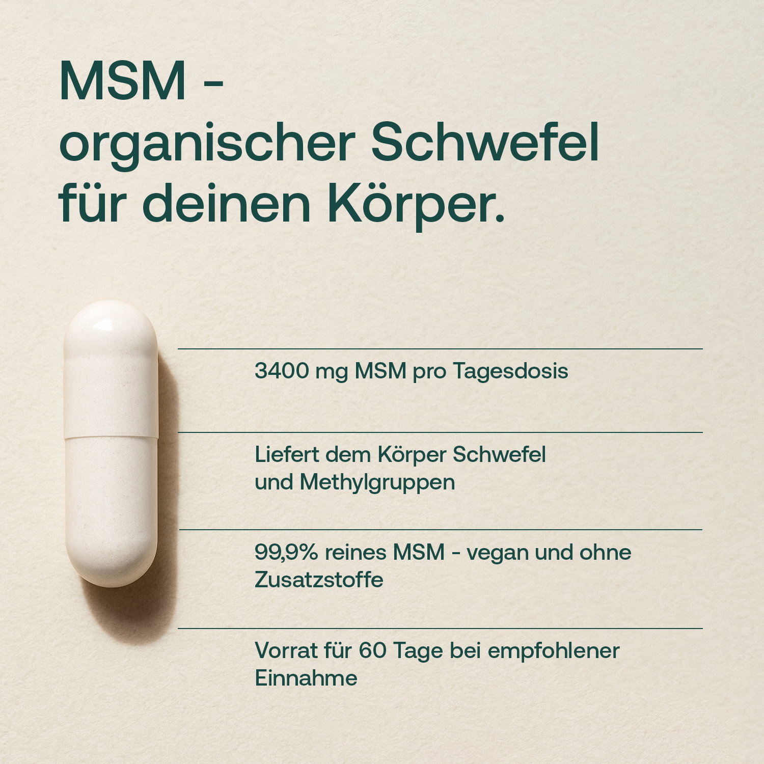 MSM Kapseln