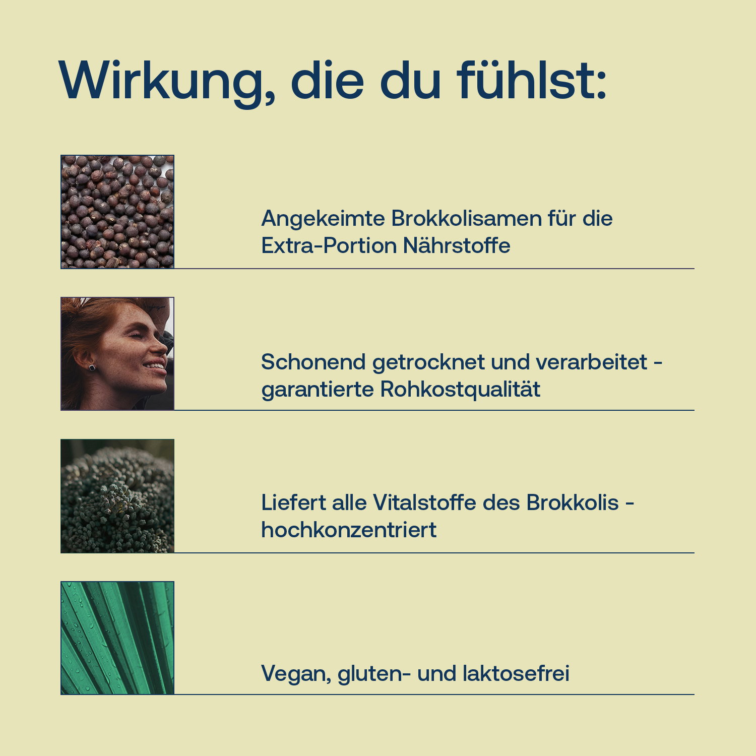 Gekeimte Brokkolisamen - Bio - 250g