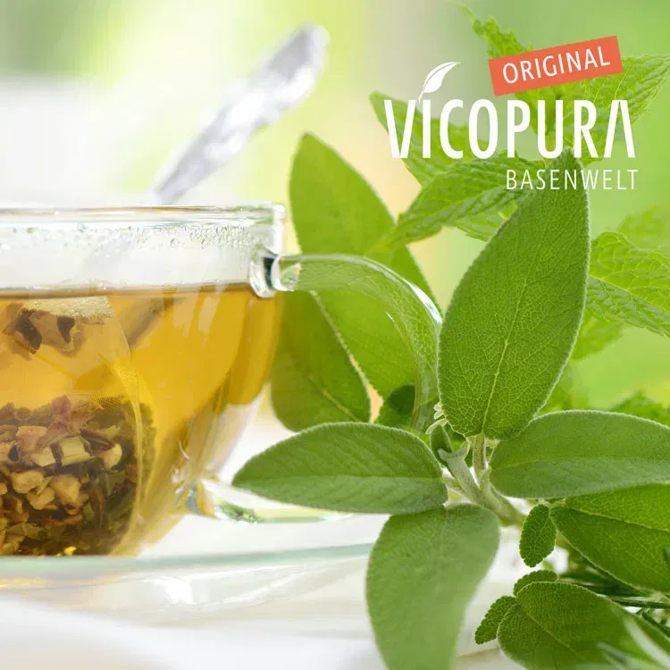 Ein Glas mit VICOPURA Kräutertee neben frischen Salbeiblättern, auf einem hellen Untergrund.