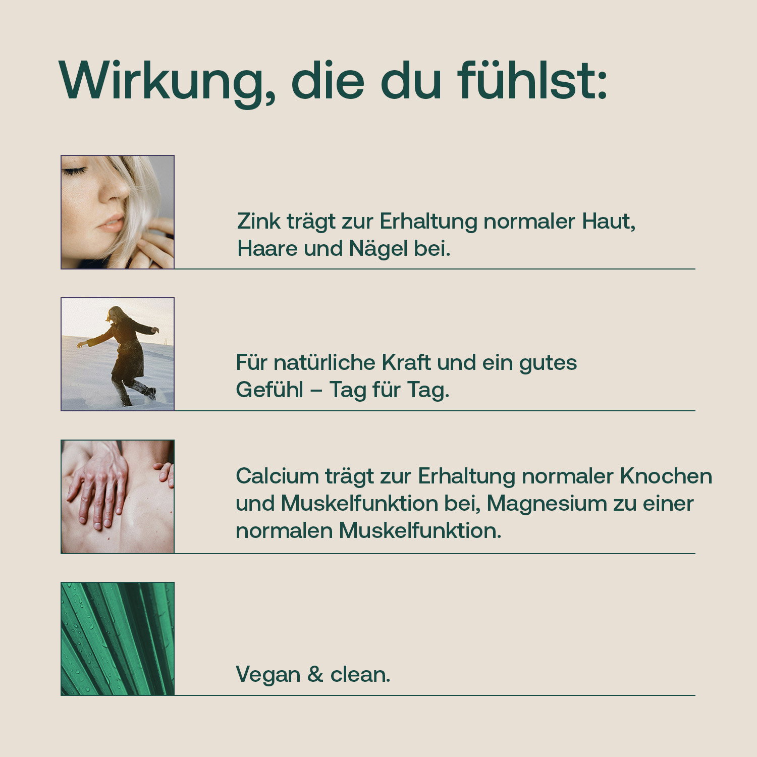 Sango Koralle Zink & Silizium Infografik zu Haut, Haaren, Knochen, Muskelfunktion und veganer Rezeptur