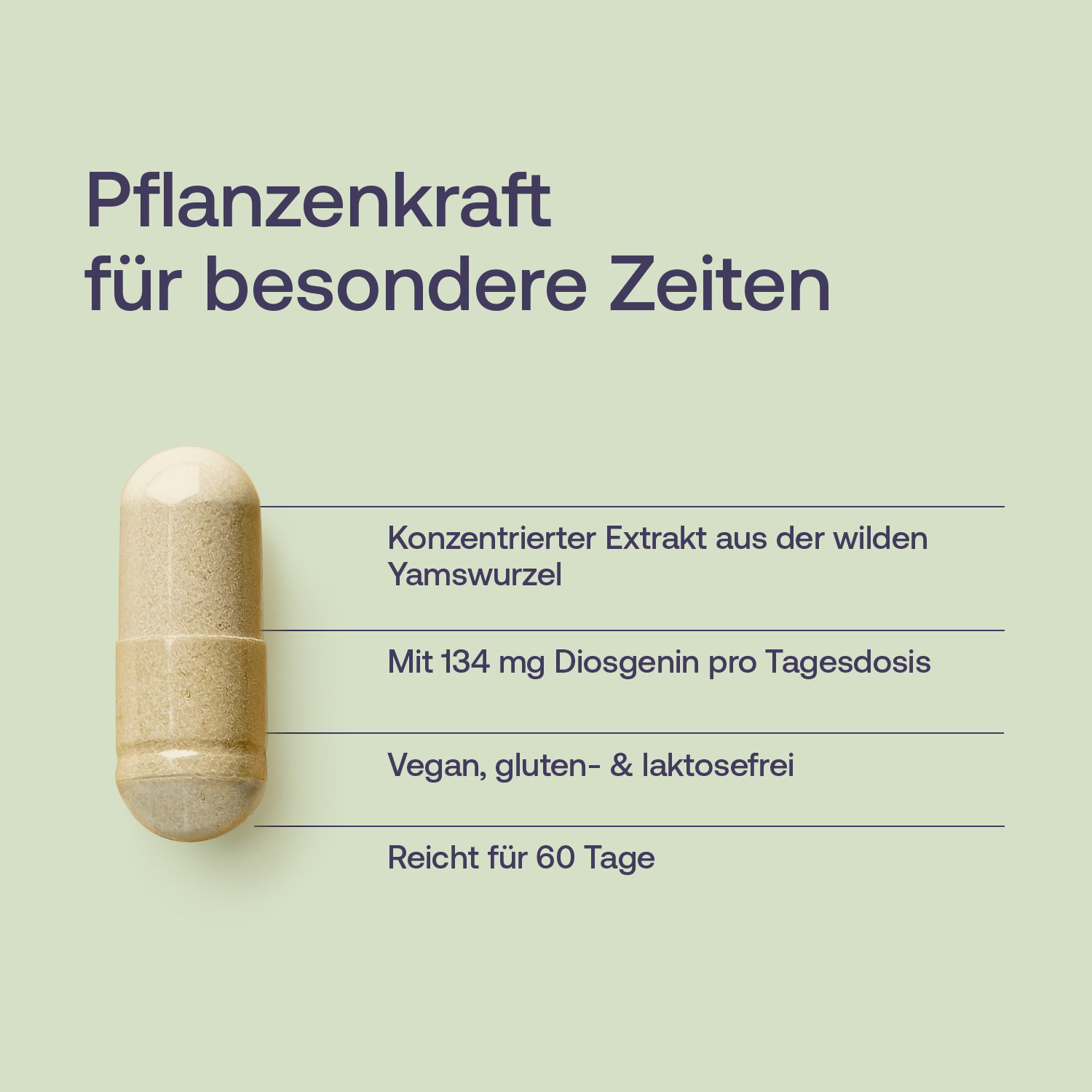 Wild Yam Extrakt Kapseln - 240 Stk. - 101g