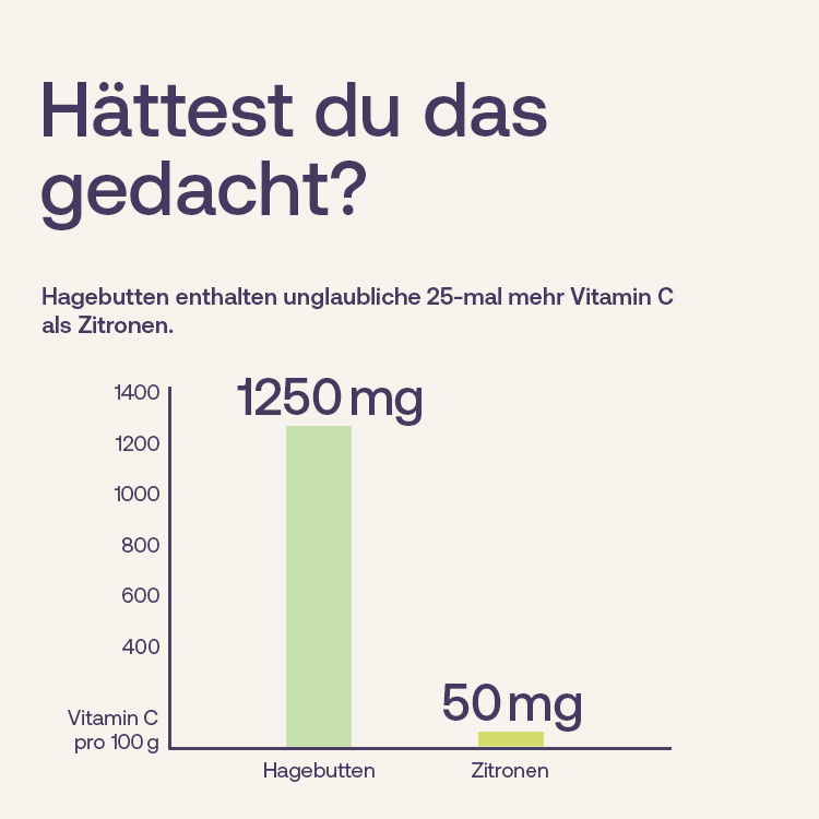Hagebutten enthalten unglaubliche 25-mal mehr Vitamin C als Zitronen