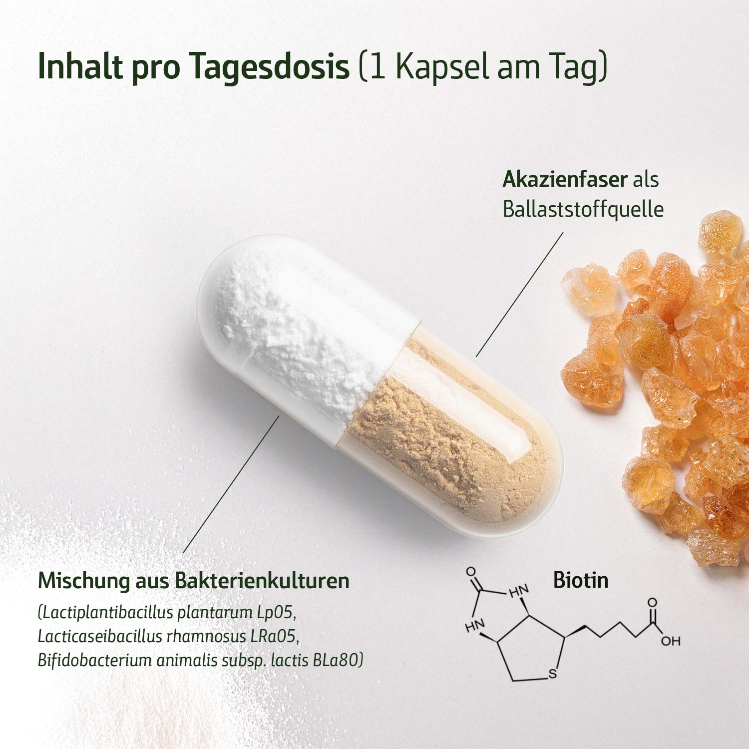 Nahaufnahme einer Kapsel mit Akazienfaser und einer Mischung aus Bakterienkulturen auf einer weißen Oberfläche