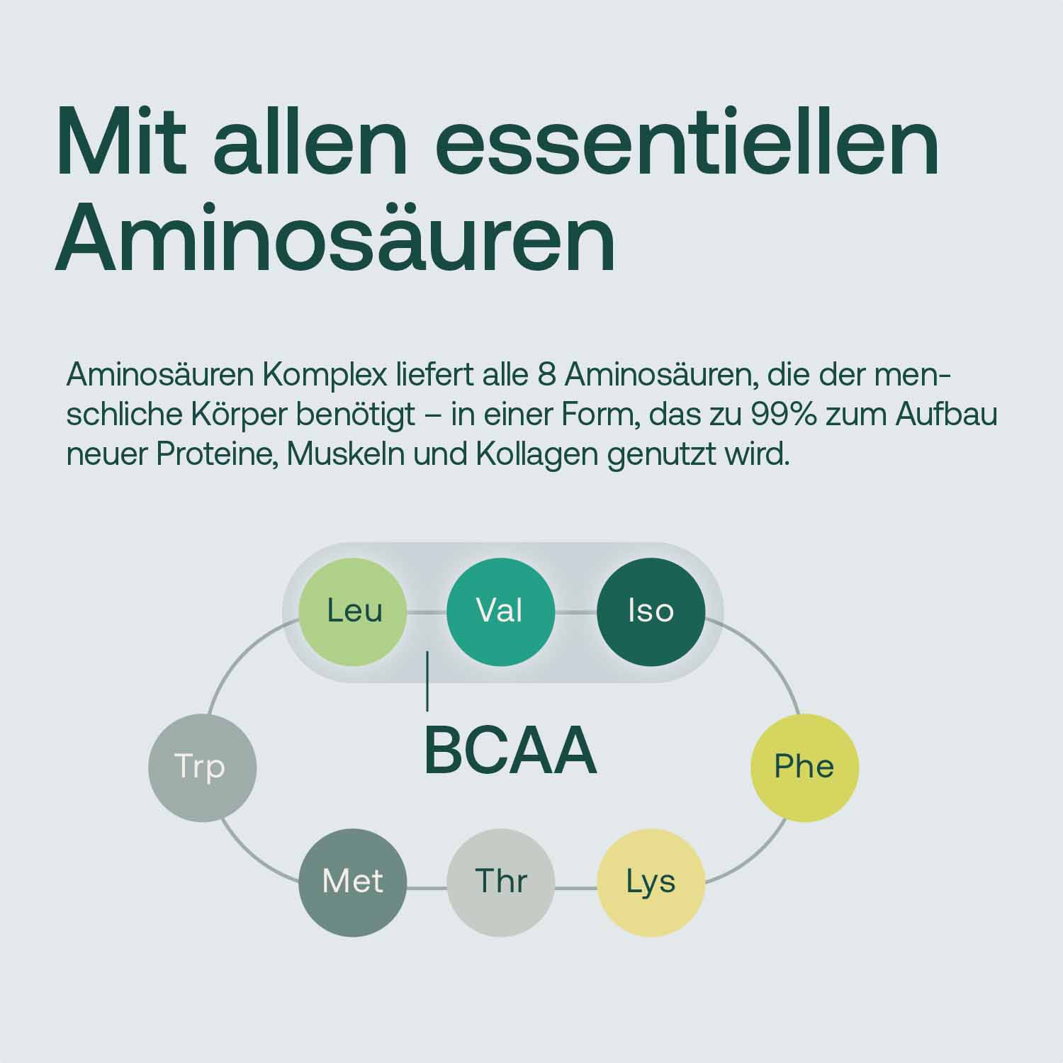 EAA - Essentielle Aminosäuren