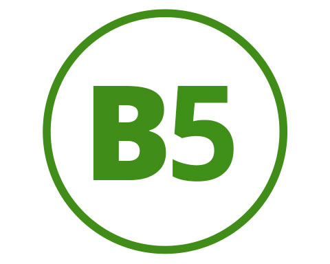 Pantothensäure (B5)