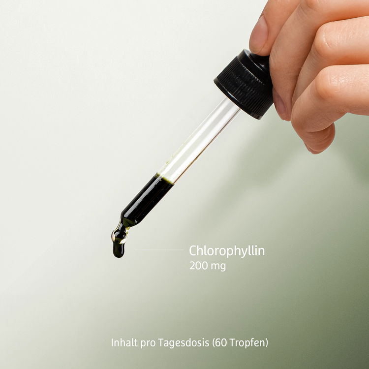 Nahaufnahme einer Hand, die eine Pipette mit Chlorophyllin-Tropfen hält, 200 mg pro Tagesdosis angegeben.