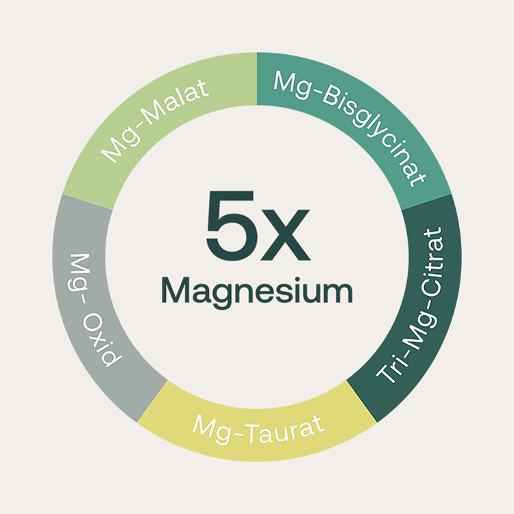 Schaubild / Tortendiagramm zur Verteilung der unterschiedlichen Magnesiumsorten in Magnesiumkompex