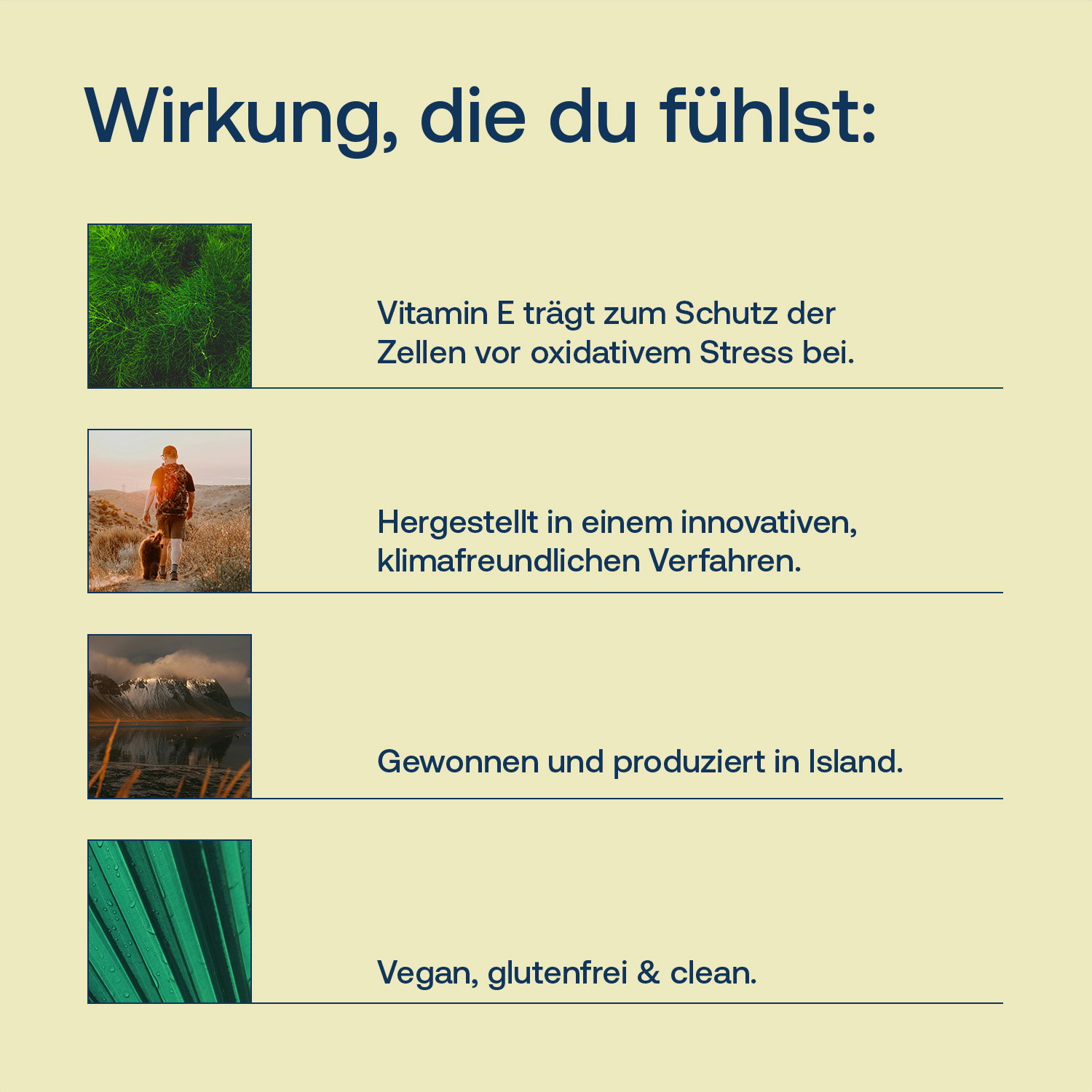 Veganes Astaxanthin aus Island