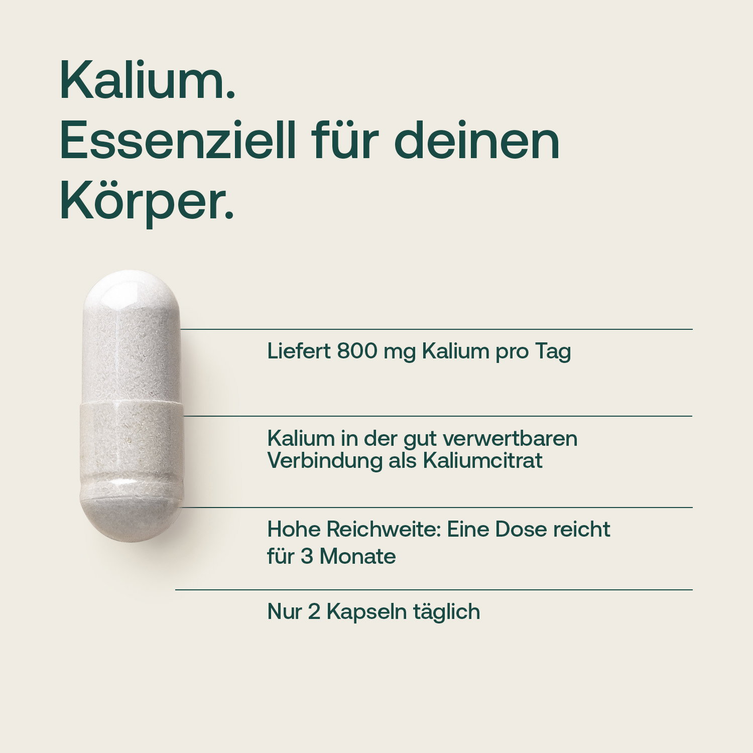 Kalium Kapseln - 180 Stk. - 211g