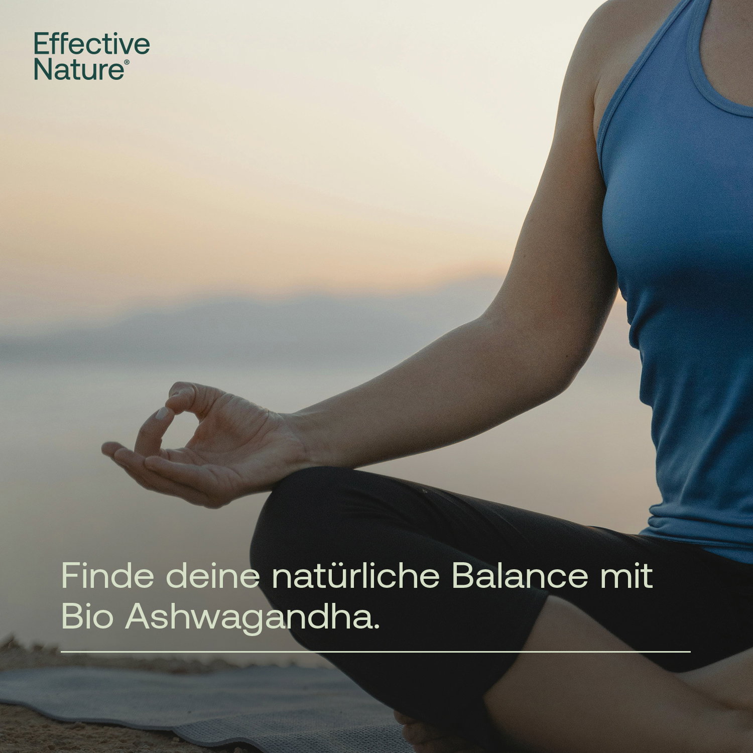 Mental Balance Bundle