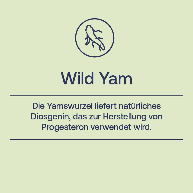 Mexican Wild Yam