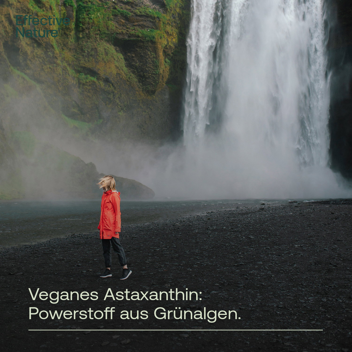 Veganes Astaxanthin aus Island