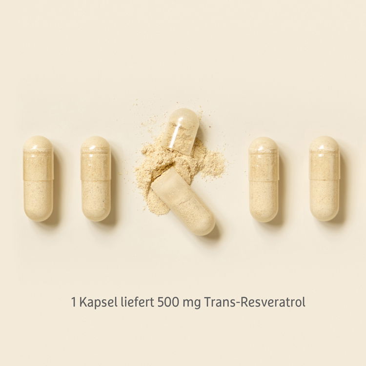 1 Kapsel liefert 500mg Trans-Resveratrol