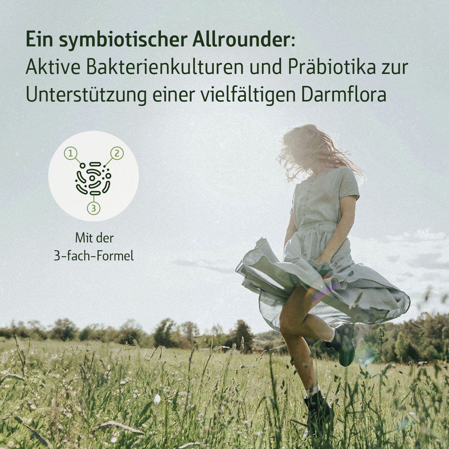 Ein digitales Kunstwerk mit horizontalen, bunten Streifen in kräftigen Farben, die ein energetisches und lebhaftes Aussehen erzeugen.