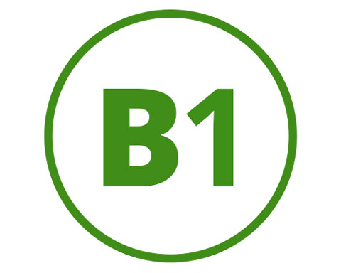 Thiamin (B1)