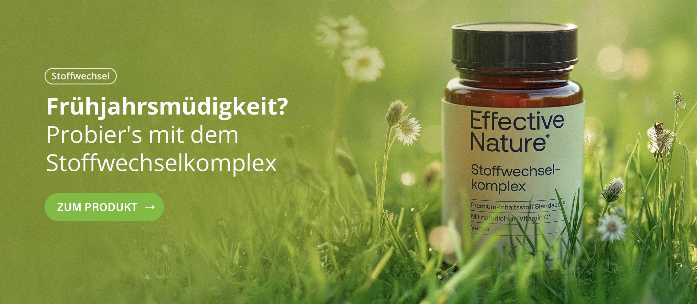 Frühjarsmüdigkeit? Probier's mit dem Stoffwechselkomplex - zum Produkt