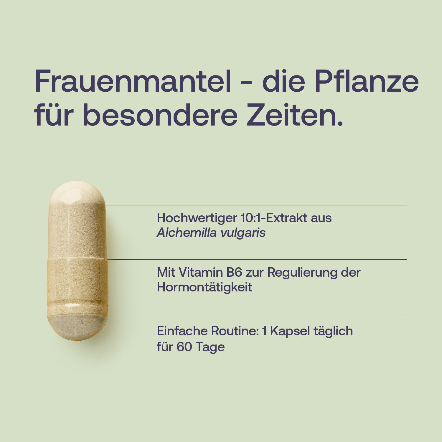 Frauenmantel Kapseln - 60 Stk. - 29g