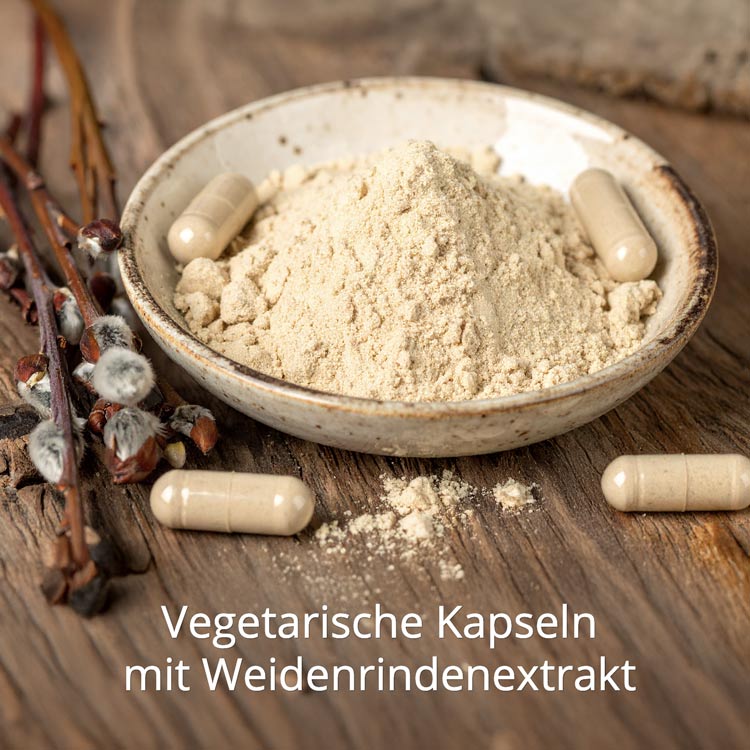 Kapseln und Pulver in einer Keramikschale