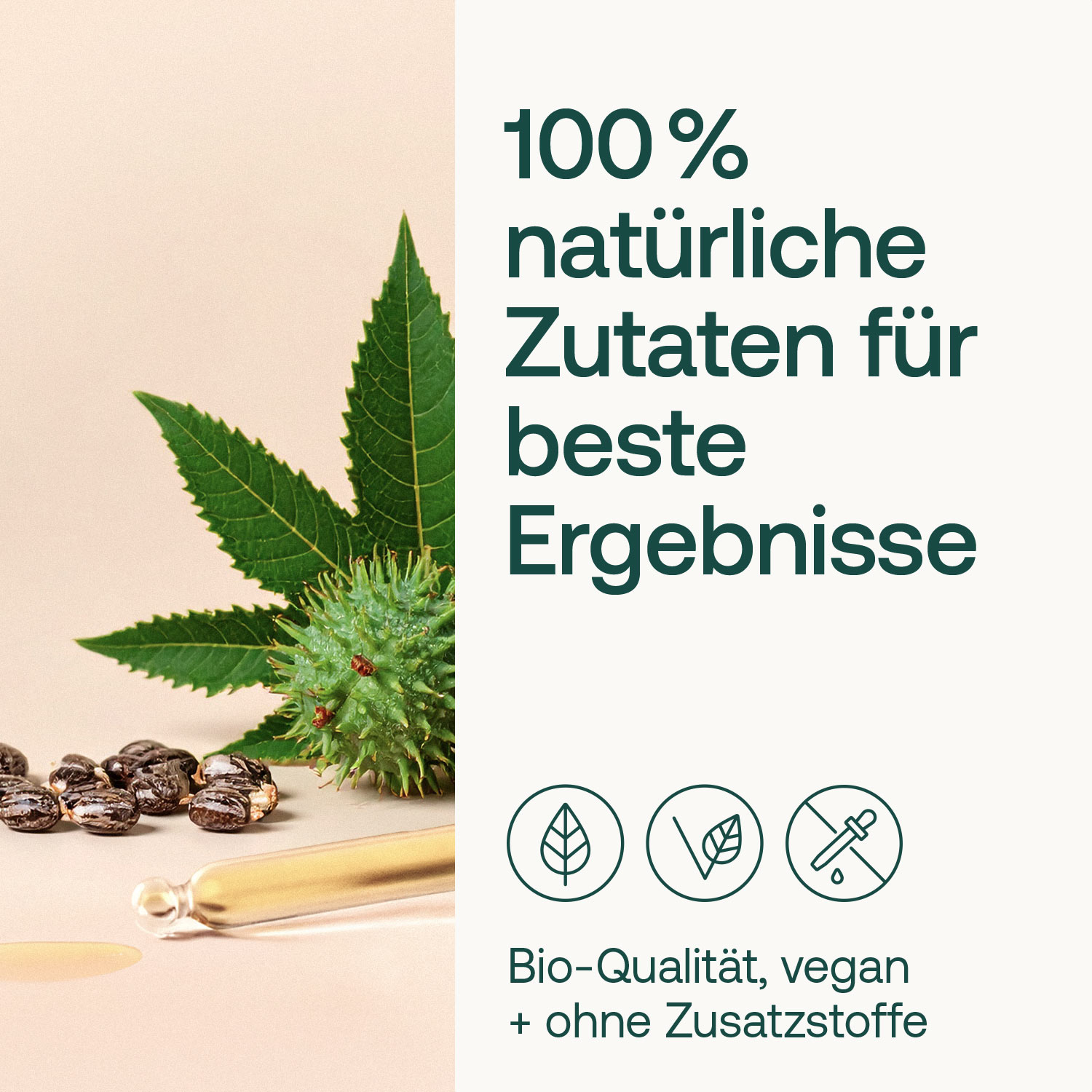 Rizinusöl - Bio - 100ml