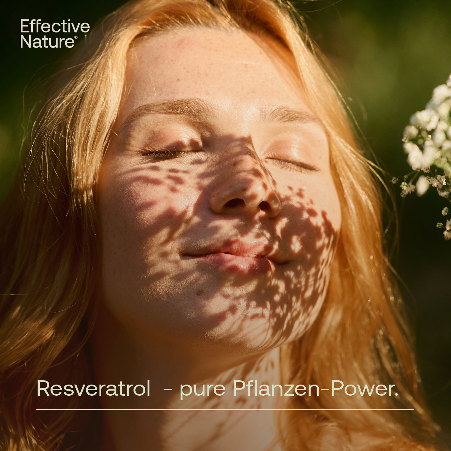 Resveratrol Plus Kapseln - 60 Stk. - 40g