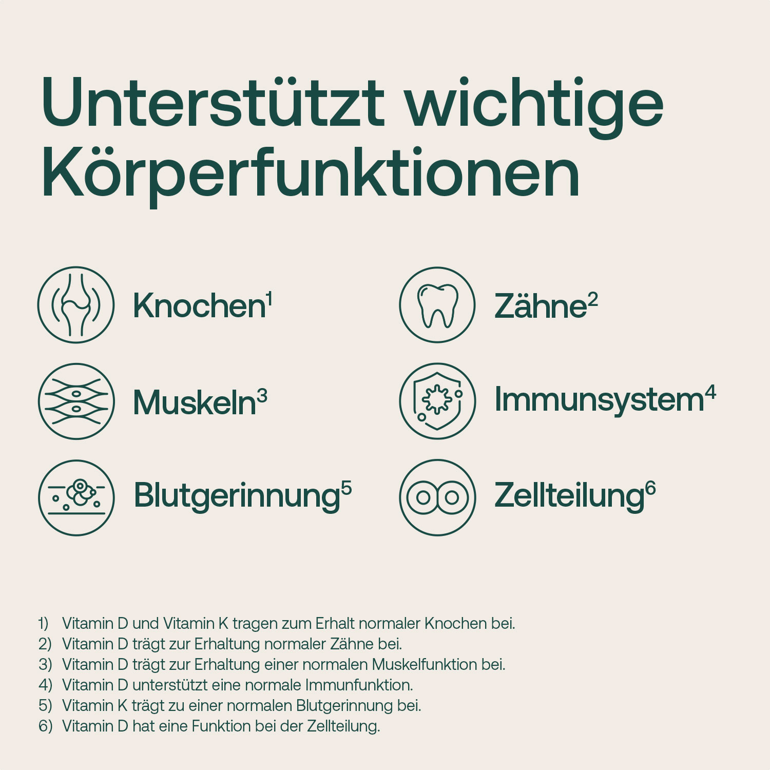 Aufgaben, die Vitamin D und Vitamin K im Körper übernehmen