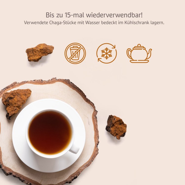 Chaga Pilzstücke - Bio - 100g