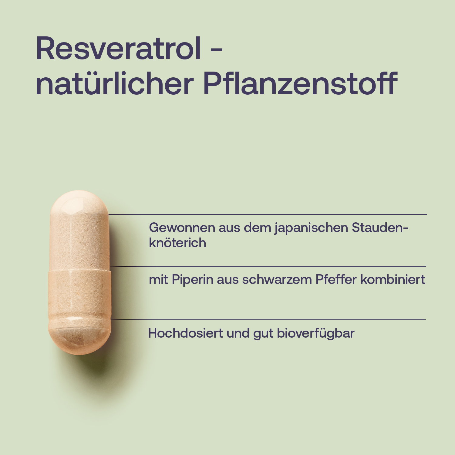 Resveratrol Plus Kapseln - 60 Stk. - 40g