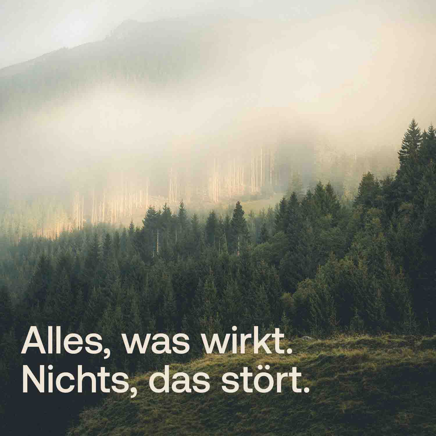 Moodbild eines nebelumwölkten Waldes