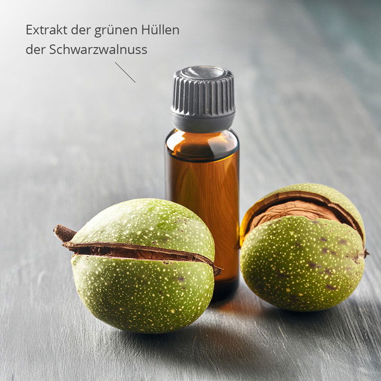 Zwei Glasstreuer, einer für Pfeffer und einer für Salz, auf einem Tisch