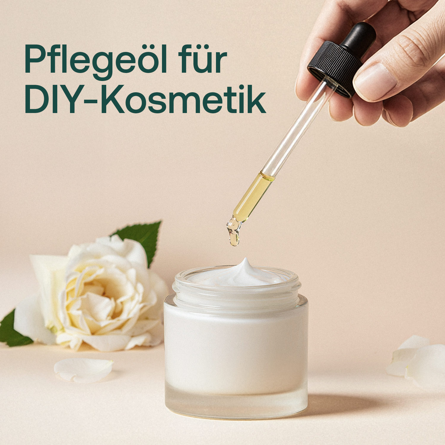 Rizinusöl - Bio - 100ml