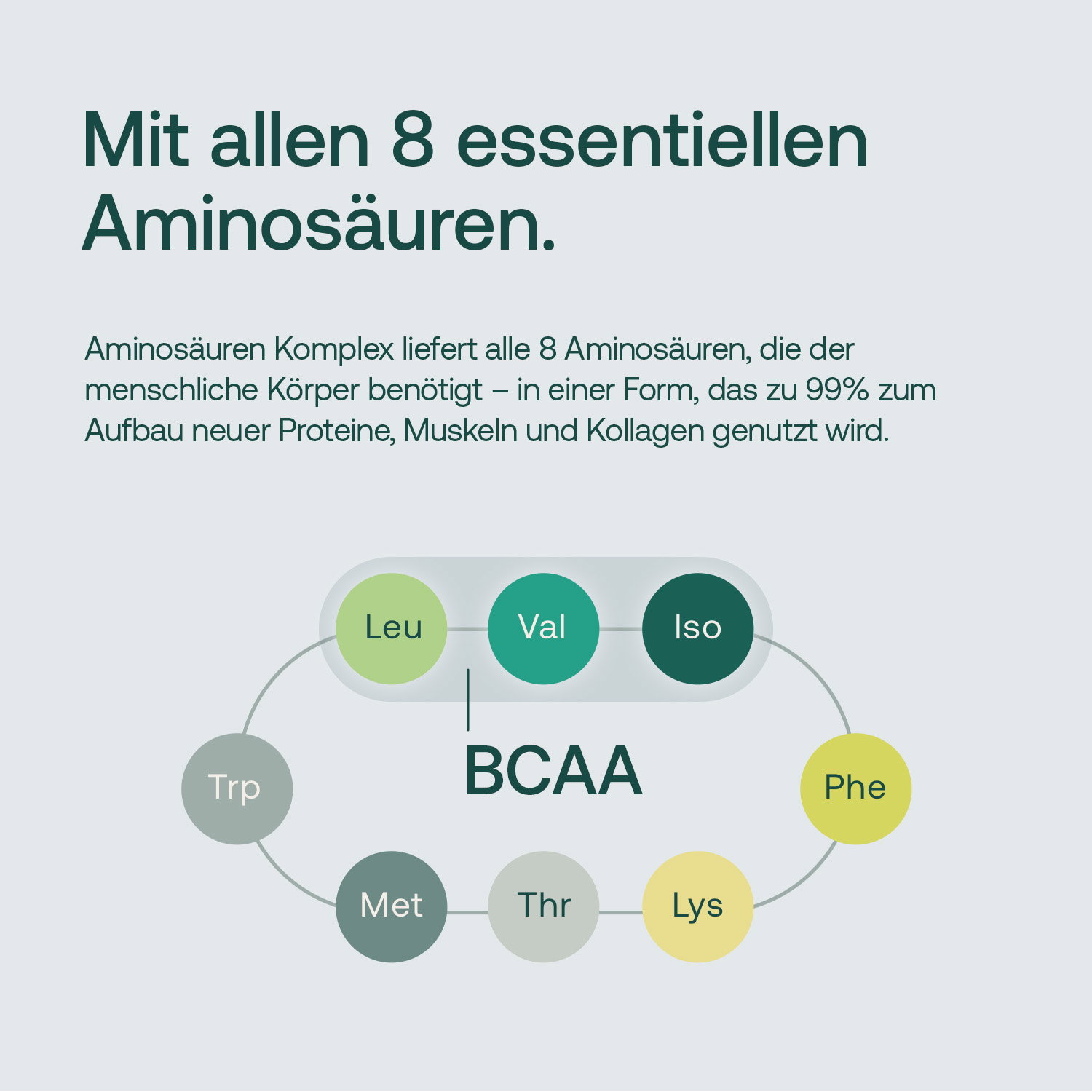 Mit allen 8 essentiellen Aminosäuren
