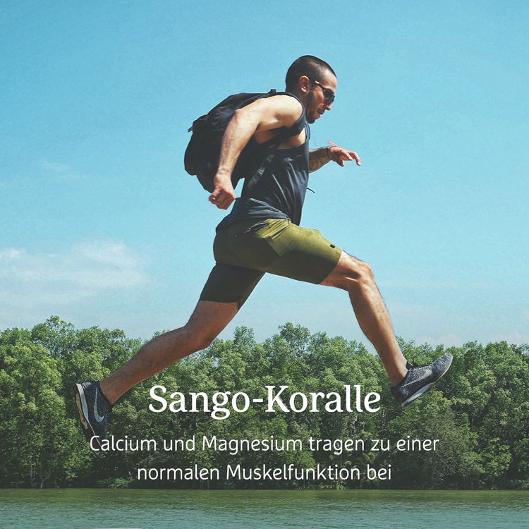 Ein Mann joggt in sportlicher Kleidung durch eine natürliche Landschaft