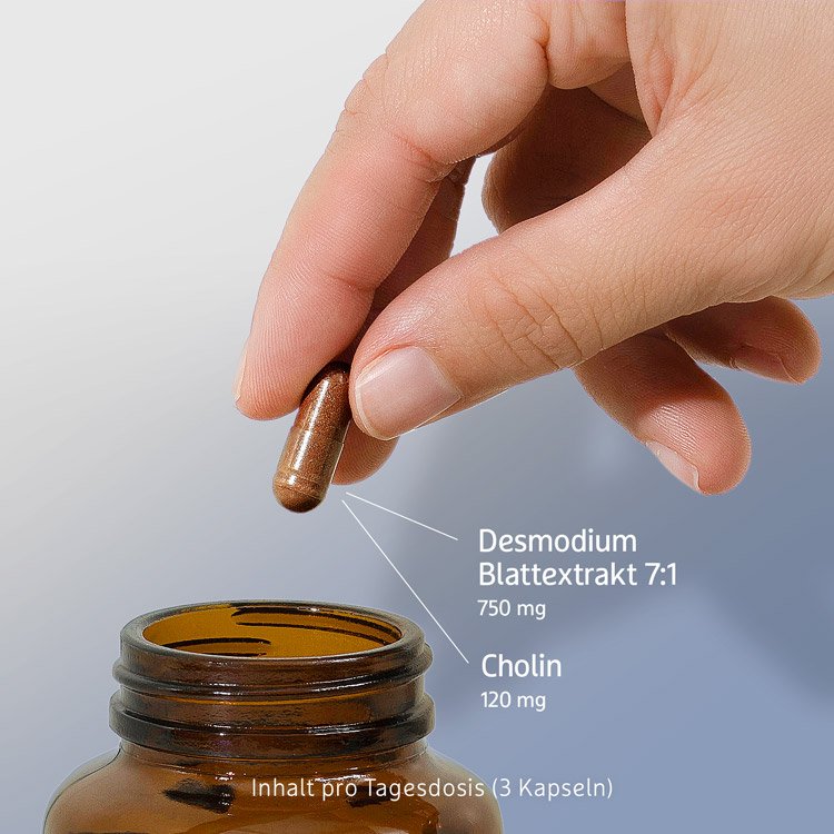 Desmodium Kapseln - 90 Stk. - 40g