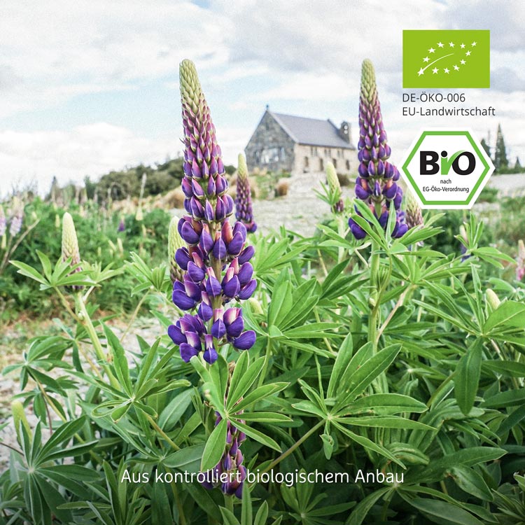 Nahaufnahme von lila Lupinen im Garten, gekennzeichnet mit EU-Bio-Siegel.