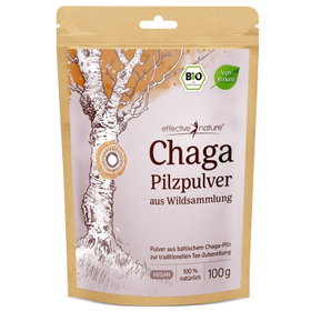 Chaga Pulver Bio - aus Wildsammlung
