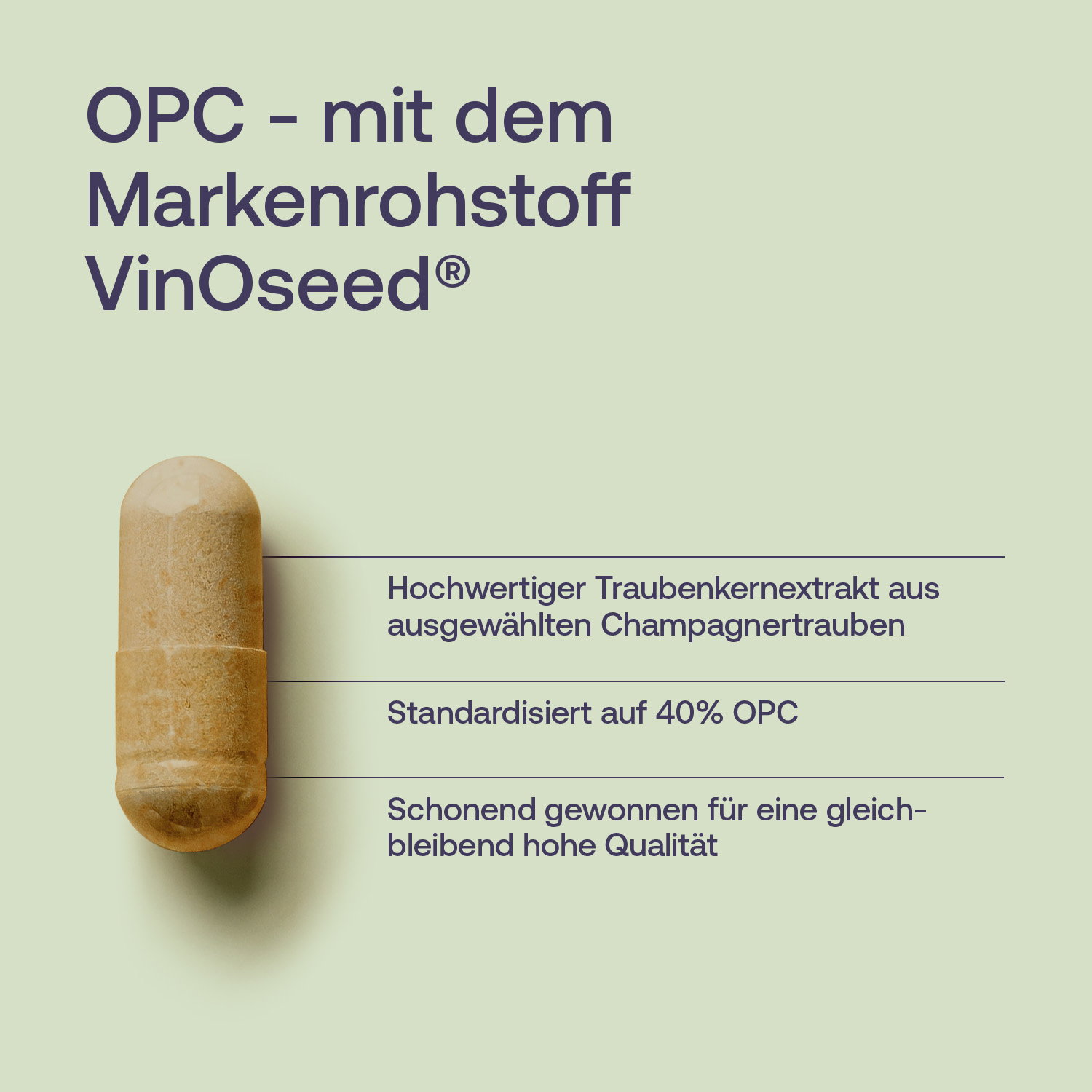OPC mit dem Markenrohstoff VinOseed