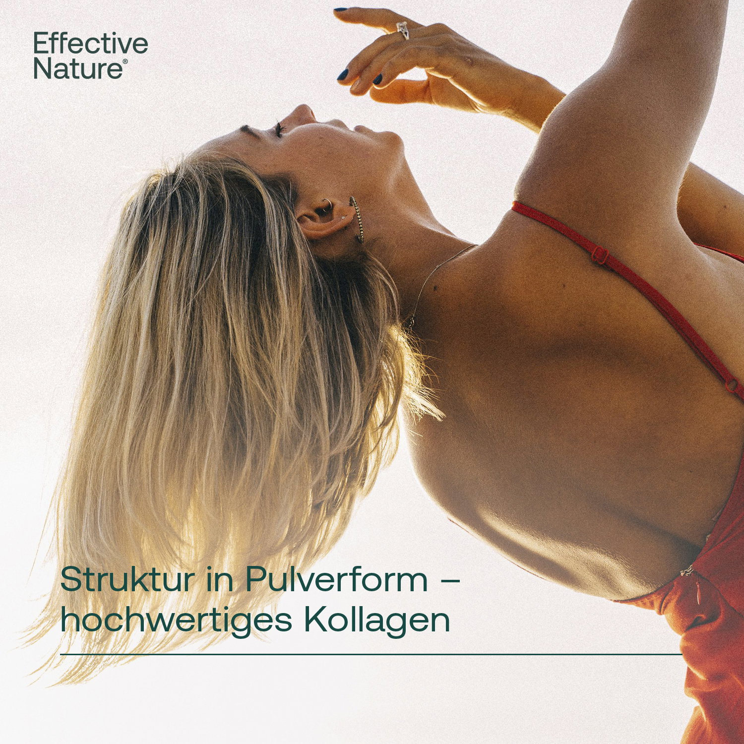 Struktur in Pulverform - hochwertiges Kollagen