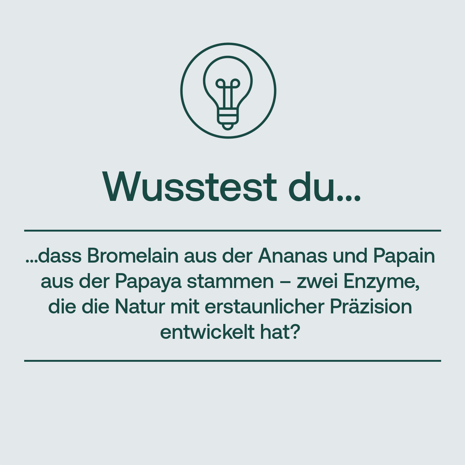 Grafik mit Glühbirnen-Symbol und dem Text über Bromelain aus Ananas und Papain aus Papaya