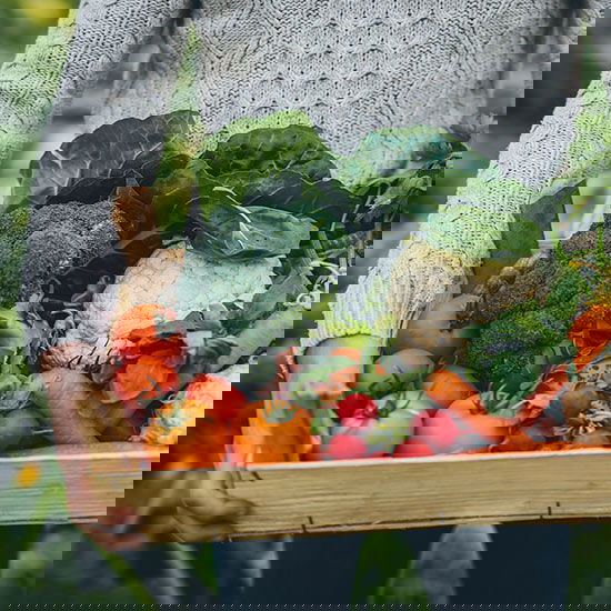 Frisches Obst & Gemüse Frisches Obst & Gemüse