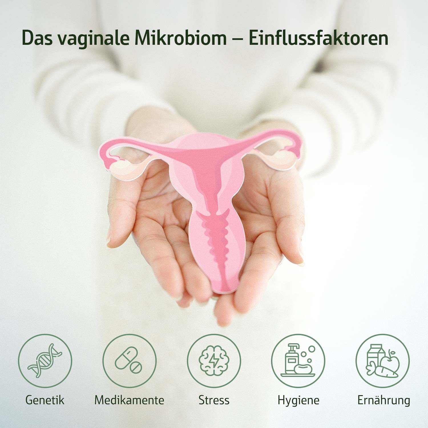 Hände halten Modell eines weiblichen Fortpflanzungssystems, umgeben von Symbolen für Genetik, Medikamente, Stress, Hygiene und Ernährung als Einflussfaktoren des vaginalen Mikrobioms.