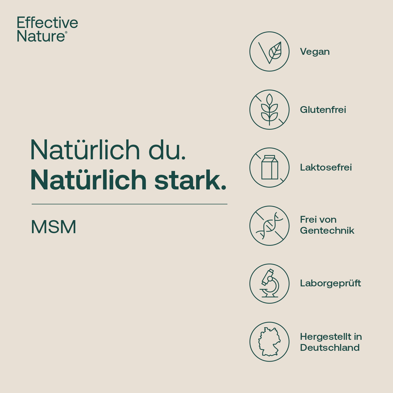 MSM Kapseln