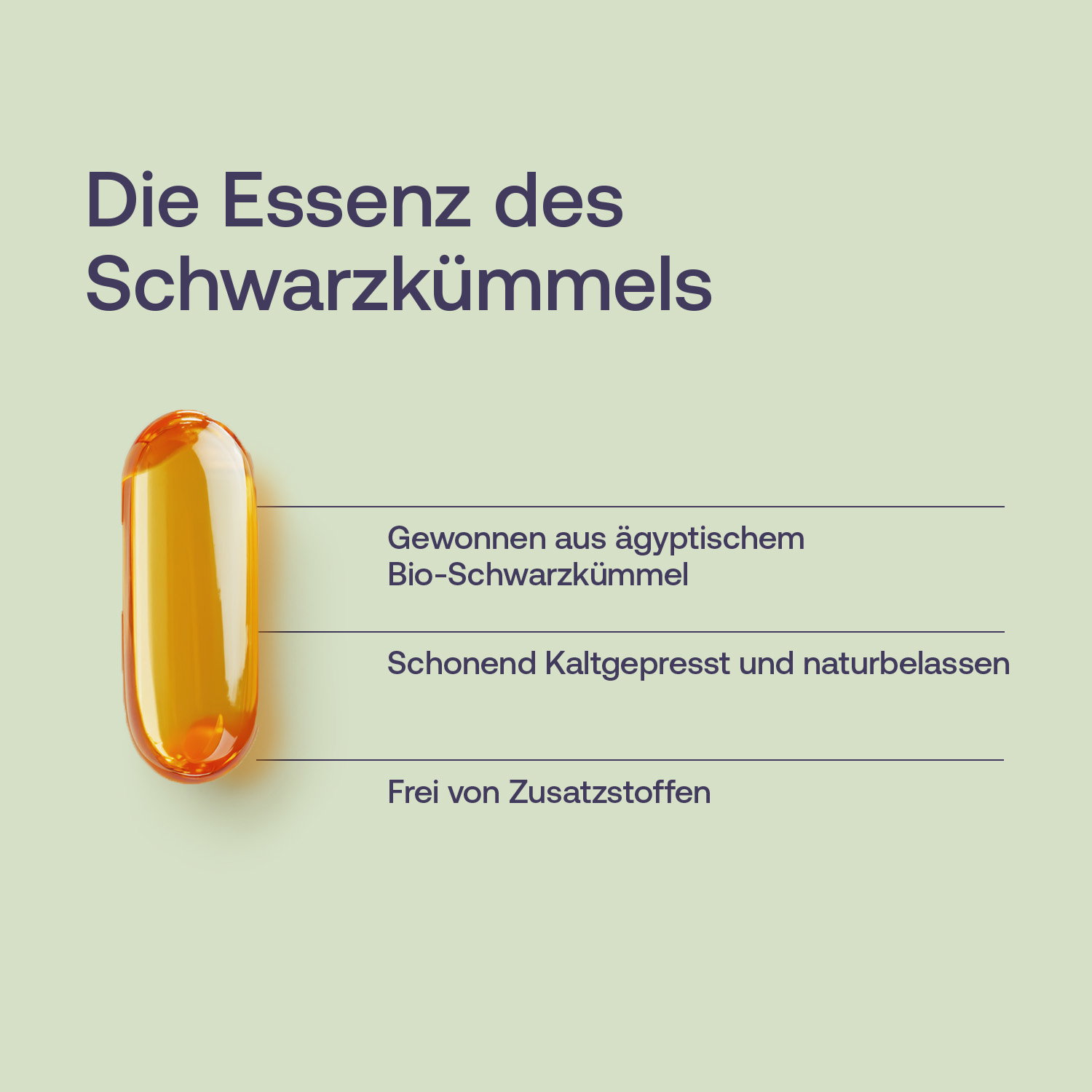 Schwarzkümmelöl Kapseln - Bio - 120 Stk. - 72g