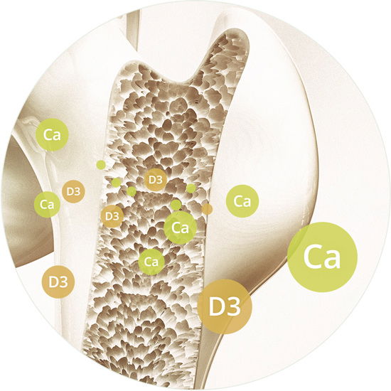 Schematische Darstellung der Wirkungsorte von Vitamin D und Kalzium