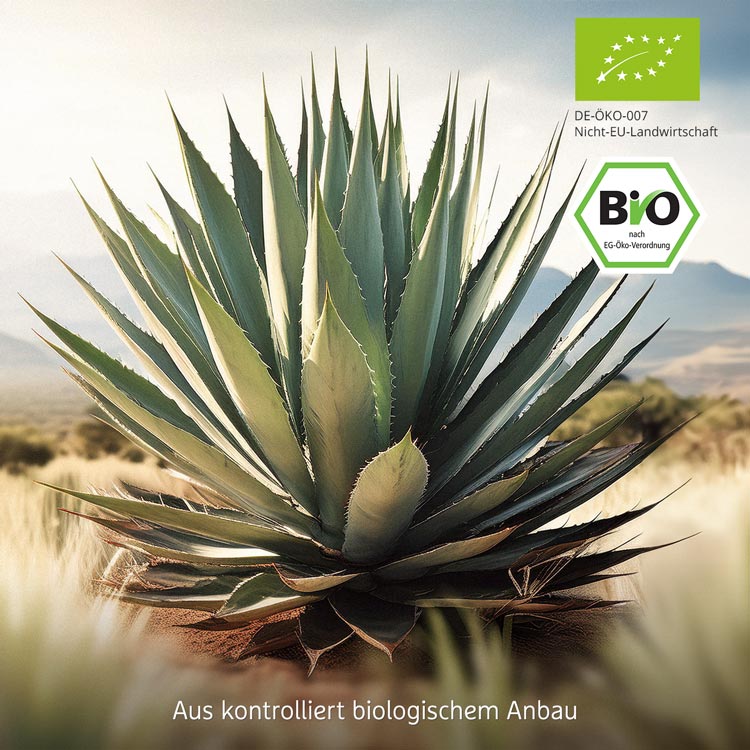 Agave Pflanze im Freien mit Bio-Siegel und Hinweis auf biologische Landwirtschaft