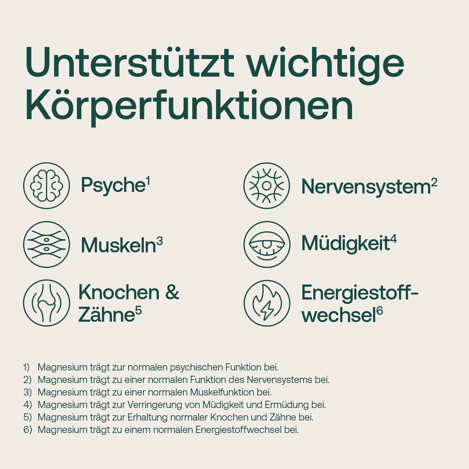 Infografik: Magnesium unterstützt Psyche, Nervensystem, Muskeln, Müdigkeit, Knochen und Zähne, Energiestoffwechsel.