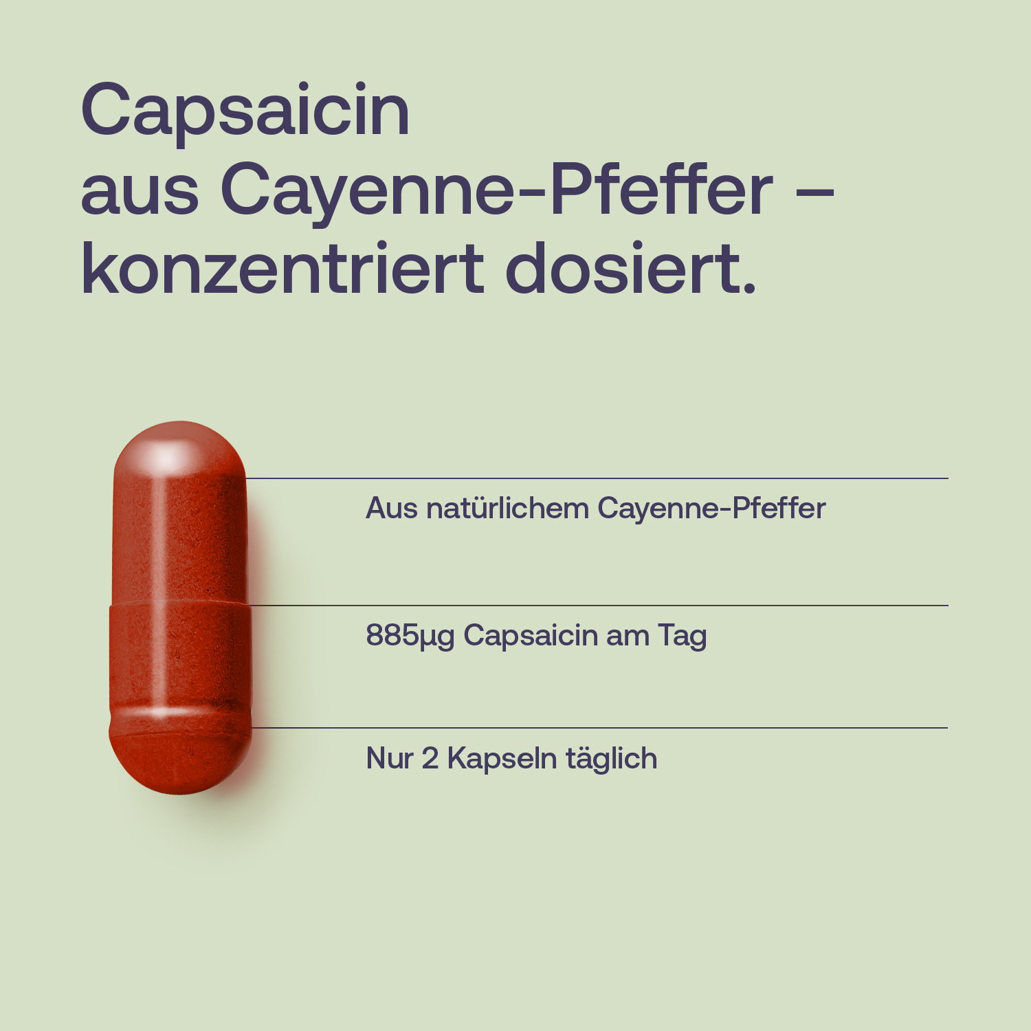 Capsaicin - Cayenne Pfeffer Kapseln - 60 Stk. - 36g