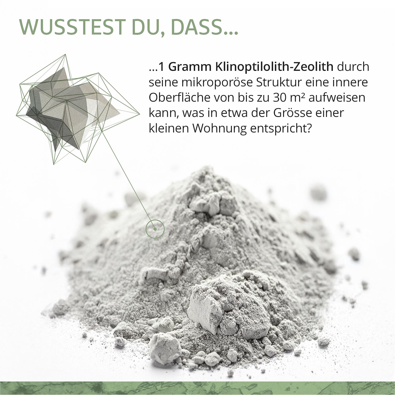 Pulverförmiges Zeolith mit Erklärung seiner porösen Struktur und der großen inneren Oberfläche.
