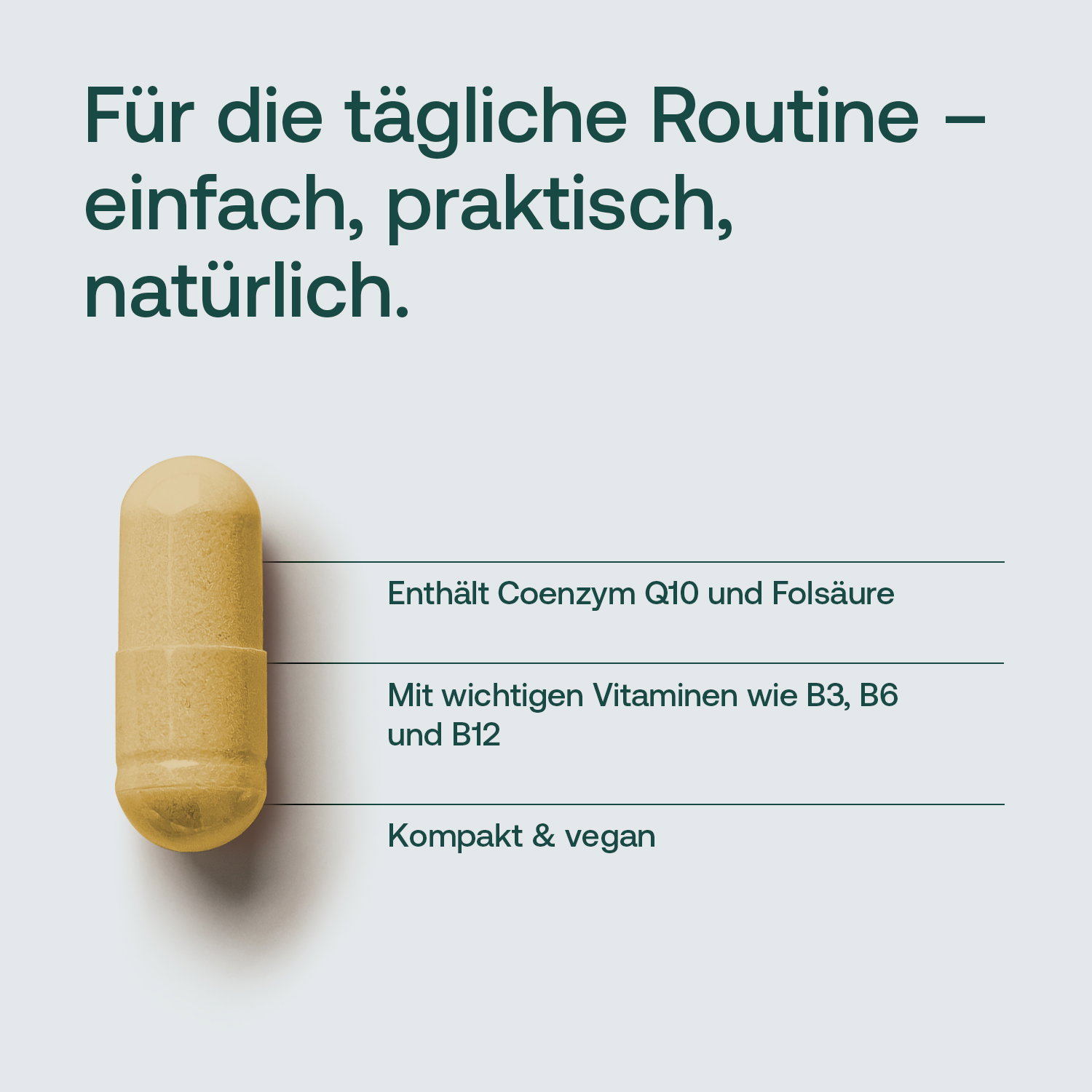 L-Arginin Kapsel mit Hinweisen zu Coenzym Q10, B-Vitaminen und vegan