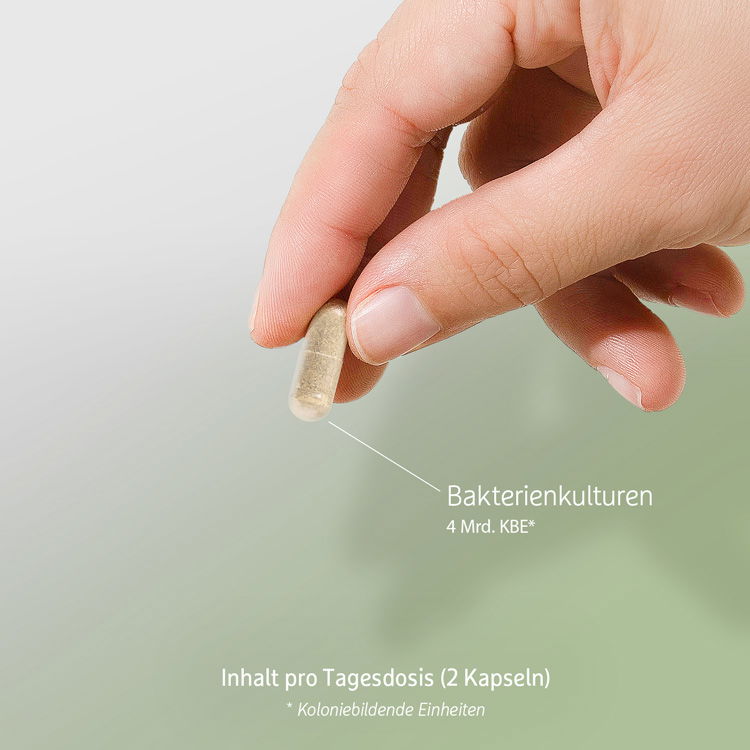 Bakterienkulturen 4 Mrd. KBE